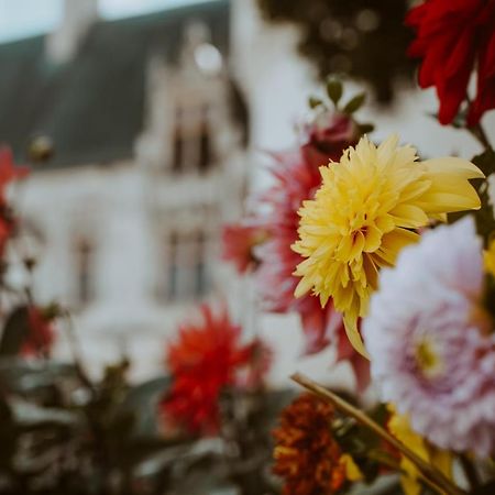 Chateau De Crazannes Dış mekan fotoğraf