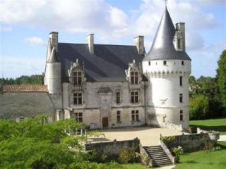 Chateau De Crazannes Dış mekan fotoğraf