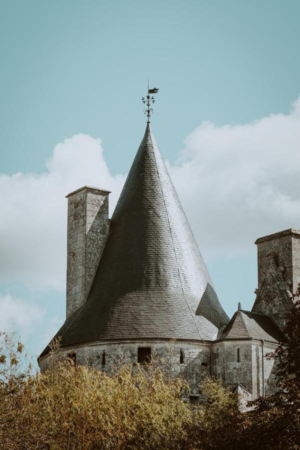 Chateau De Crazannes Dış mekan fotoğraf