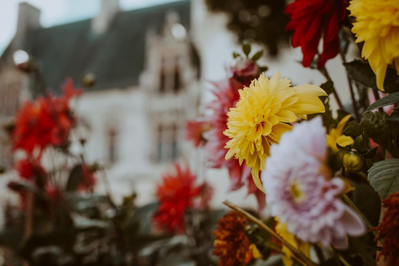 Chateau De Crazannes Dış mekan fotoğraf